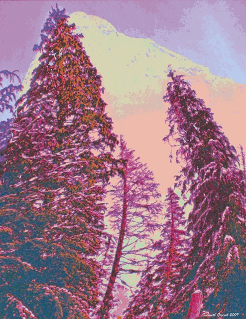 Image #2 of 12: 